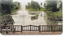Parks On The River