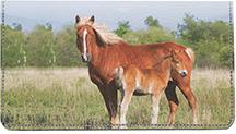 Mares and Foals