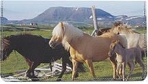 Stable Friends
