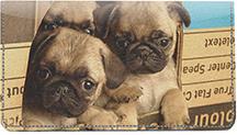 Pug Pals