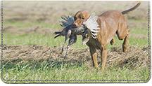 Hunting Dogs