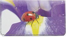 Petal Ladybugs