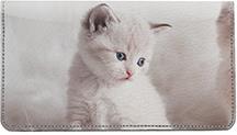 Persian Kittens