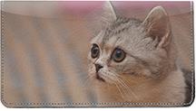 Scottish Fold Cats