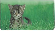 Tabby Kittens