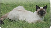 Frisky Siamese