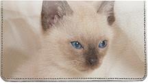 Siamese Kittens