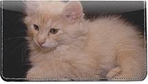 Bobtail Cats