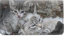 Momma Cats