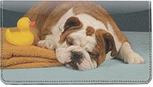 Bulldogs Having Fun