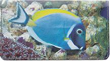 Surgeonfish