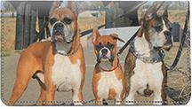 Boxer Pals