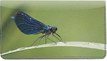 Blue Dragonflies