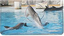 Dolphin Tricks
