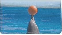 Playful Dolphins