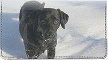 Black Labs In The Snow