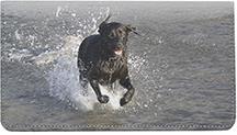 Black Labs In The Water