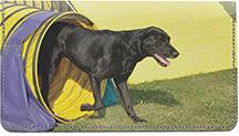 Sporty Black Labs