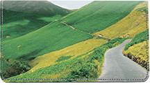 Mountain Roads
