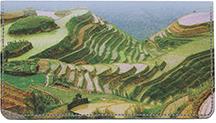 Rice Terraces