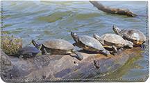 Water-Logged Turtles