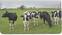 Cow Pals