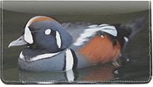 Harlequin Ducks