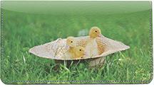 Cute Ducklings