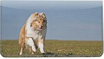 Playful Collies