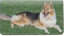 Collies In The Grass