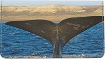 Whale Tails