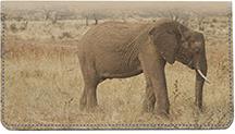Elephant Walking