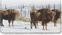 Bison In Winter Leather Checkbook Cover