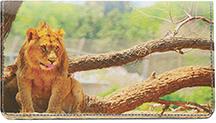Resting Lions