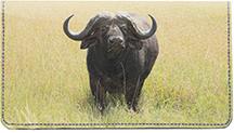 Grazing Buffalo