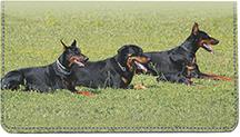 Resting Dobermans