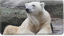 Mighty Polar Bears