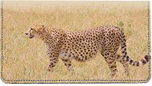 Safari IV