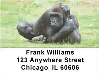 Safari Primates Address Labels
