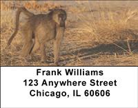 Safari Primates Address Labels