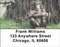 Safari Primates Address Labels