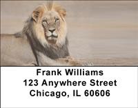 Safari Big Cats Address Labels