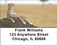 Safari Big Cats Address Labels
