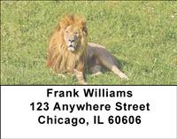 Safari Big Cats Address Labels