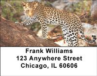 Safari Big Cats Address Labels