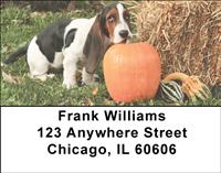 Active Basset Hounds Address Labels