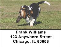 Active Basset Hounds Address Labels