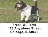 Active Basset Hounds Address Labels