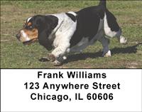 Active Basset Hounds Address Labels