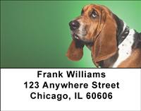 Soulful Basset Hounds Address Labels